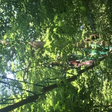 IMG 0682  Small - Scouts en Gidsen Zaventem 